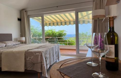 Zupa dubrovacka Apartment | Studio apartment SOL