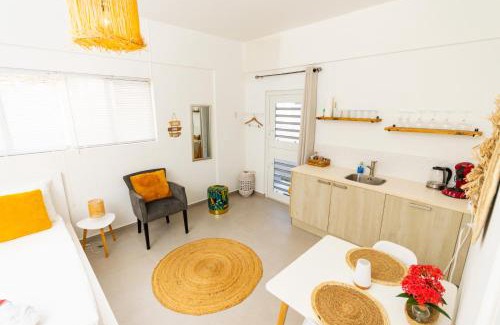 Rooi Catochi House | Studio Apartment Volterra Curacao