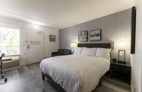 Paradise Valley Village Apartment | Studio Apt in North Scottsdale