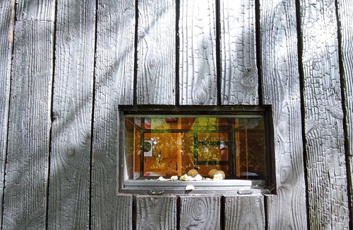 Willems Apartment | Studio Cabane spa et vue sur Champ