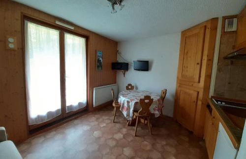 Valloire Apartment | Studio cabine 4 pers exposé Est, animaux acceptés, près des pistes! - FR-1-263-66