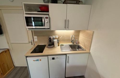 Prapoutel Apartment | Studio cabine avec balcon et équipements pratiques - FR-1-557-54
