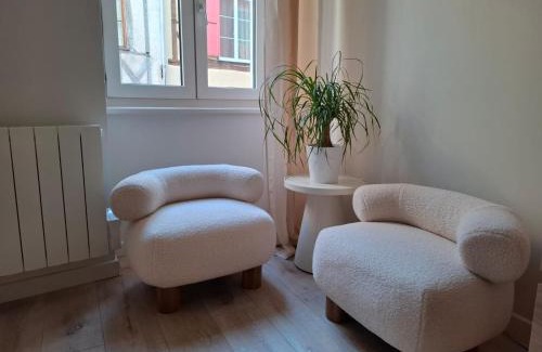 Macon Apartment | Studio centre Macon place aux herbes