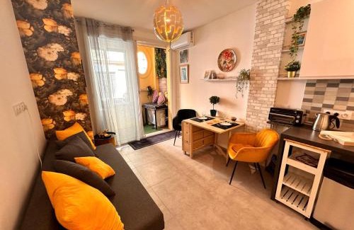 Carabacel Apartment | Studio Coeur Delille FSHH