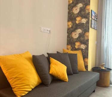 Carabacel Apartment | Studio Coeur Delille FSHH
