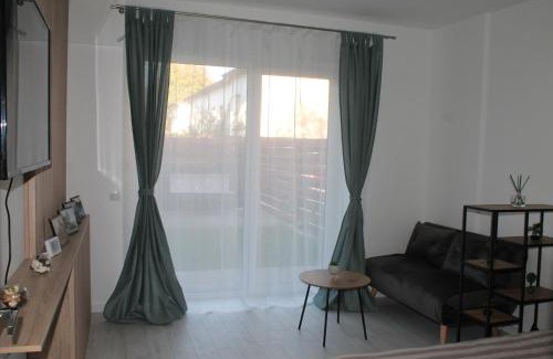Popesti-Leordeni Apartment | Studio cu grădina proprie