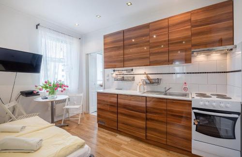 Kamienna Gora Apartment | Studio - Grandtulipan