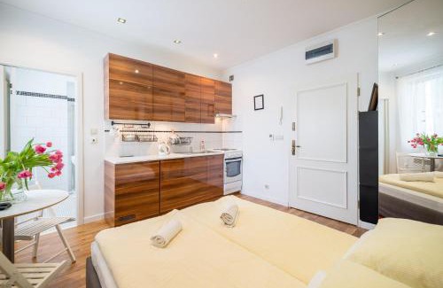 Kamienna Gora Apartment | Studio - Grandtulipan