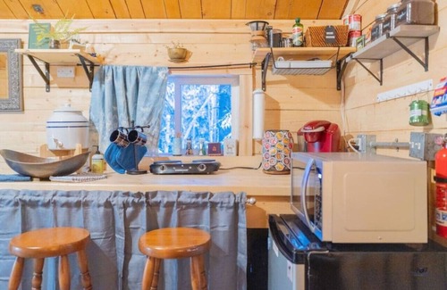 Fairbanks Cabin | Studio Log Cabin | Aurora Views!