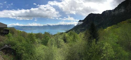 Thollon-les-Memises Apartment | Studio neuf rez de jardin dans chalet individuel