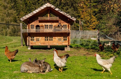 Forstau House | Studio Nussbaum, 2 bedrooms - Familienhotel Unterreith