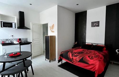 Cambrai Apartment | Studio Paul Bert-1 de midi à 11h le lendemain