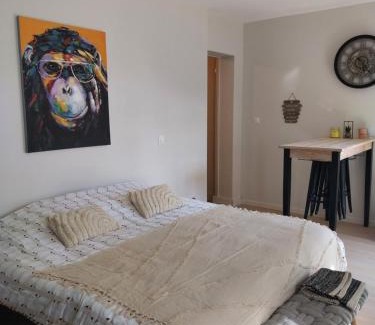 Vals-les-Bains Apartment | Studio vals les bains