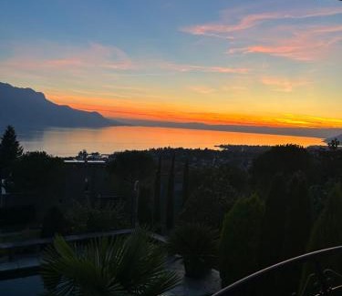 Chernex Apartment | studio with amazing view