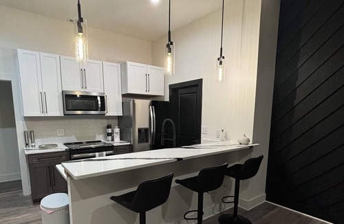 Charlotte Apartment | Stunning Modern Lower Level Apartment Charlotte