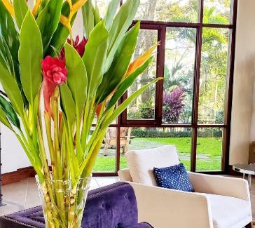 Pan de Azucar House | STUNNING Property, Magical Vacation!