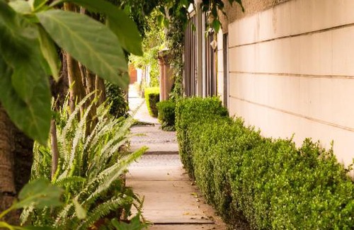 Campestre Apartment | Suite 1-A Monasterio Garden House Welcome to San Angel