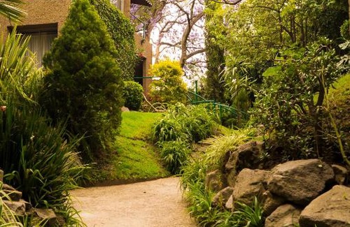 Campestre Apartment | Suite 1-A Monasterio Garden House Welcome to San Angel