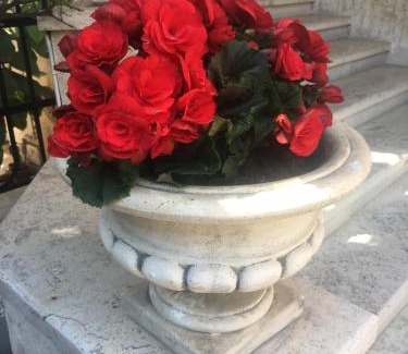 Quartiere III Pinciano Bed & Breakfast | Suite Oriani