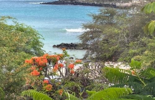 Puerto Baquerizo Moreno Apartment | Suite Tierra, Reconnect with your roots