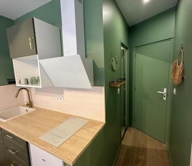 Le Grau-Du-Roi Apartment | Suites Aronas-hébergements climatisés rive droite plein centre ville