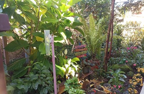 Caparao National Park House | Suites Pico do Cristal