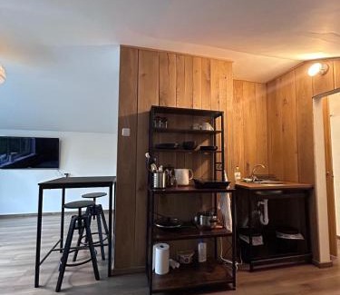 Zemgale Suburb Apartment | Sun-Kissed Studio
