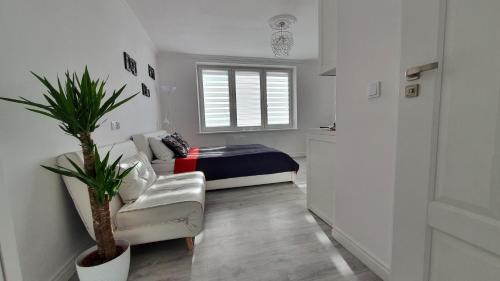 Gorlice Apartment | Sunny Apartments Gorlice