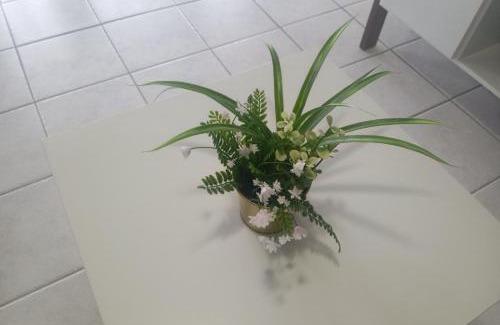 Rodney Bay Apartment | Sunny Luxuries - Rodney Bay