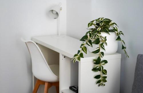 Manly Apartment | Sunny Manly Escape 2 min walk to beach
