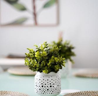 Manly Apartment | Sunny Manly Escape 2 min walk to beach