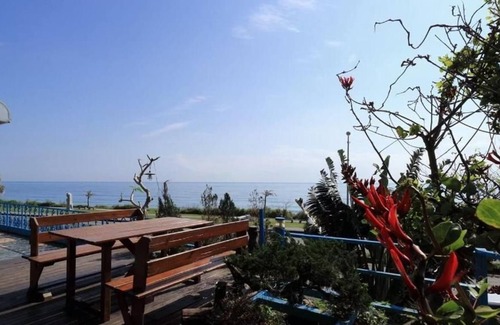 Shoufeng Bed & Breakfast | Sunny Ocean B&B