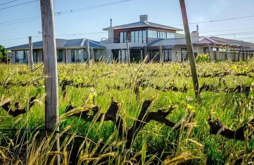 Stellenbosch Apartment | Sunrise and Sunset Apartments at Domaine Coutelier
