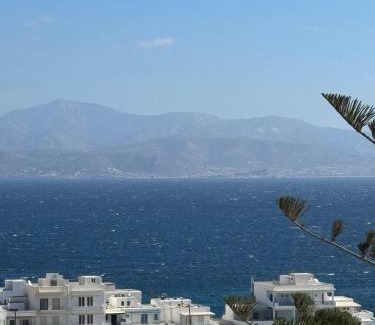 Piso Livadi Apartment | sunsenses villa electra with private pool