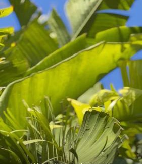 Birgi Vecchi Bed & Breakfast | Sunset Wave - STAGNONE KITESURF VILLAGE