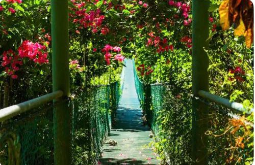 Montezuma Cabin | Sunshine Sanctuary Boutique Jungle Lodge