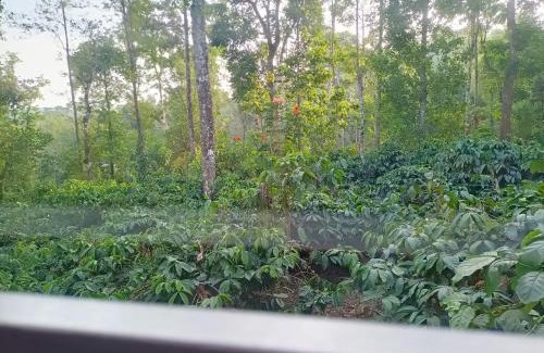 Madikeri House | Sunside Estate stay