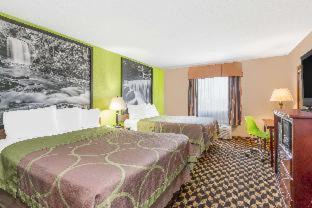 Harker Heights Hotel | Super 8 by Wyndham Harker Heights Killeen - Fort Cavazos