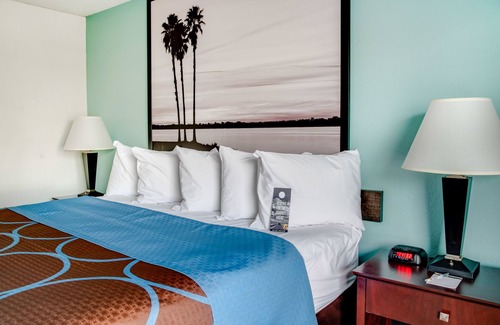 St. Petersburg - Clearwater Hotel | Super 8 by Wyndham St. Petersburg