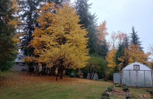 Fauquier Cottage | Super Natural Hot Springs & Snowy Country Xmas @ Kootenay Cottage Lavender Farm.