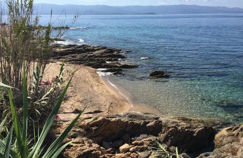 Ajaccio Apartment | Superbe appartement 3 étoiles Ajaccio début Sanguinaires