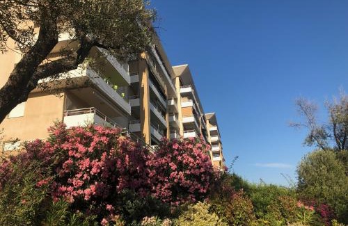 Ajaccio Apartment | Superbe appartement 3 étoiles Ajaccio début Sanguinaires