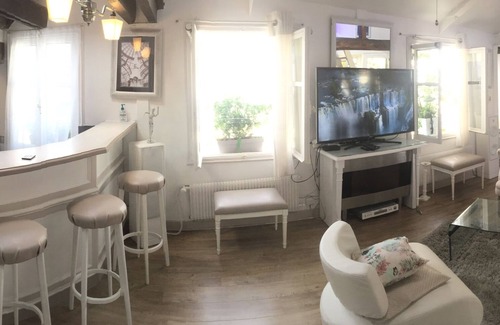 Quartier de la Monnaie Apartment | Superbe Loft St Germain Des. Pres