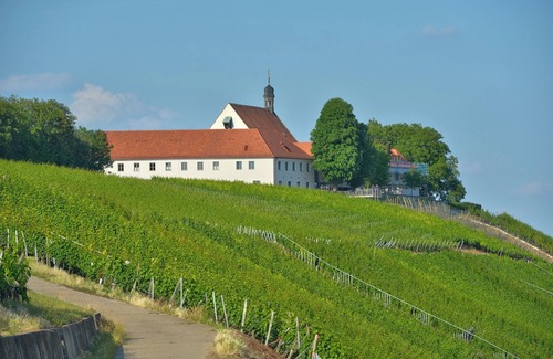Volkach Apartment | Superior double room (20-25sqm) with side vineyard view and breakfast buffet