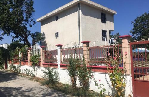 Primorski House | SURF House Villa Rose I Po3a l