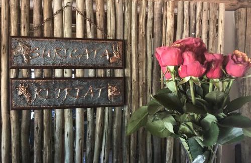 Limpopo-Lipadi Private Game Reserve Cabin | Suricata Retreat