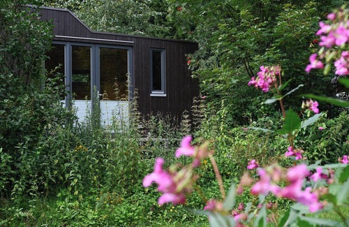 Osterode am Harz House | Sustainable accommodation in the Green Tiny House Nature in the Harz Mountains