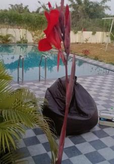 Ujjain House | swarglok farm house ujjain