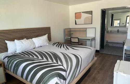 Lake Havasu City Hotel | Sway Hotel