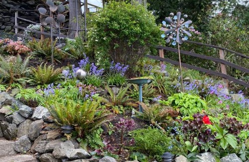 Friday Harbor Apartment | Sweet Escape & Summer Dream